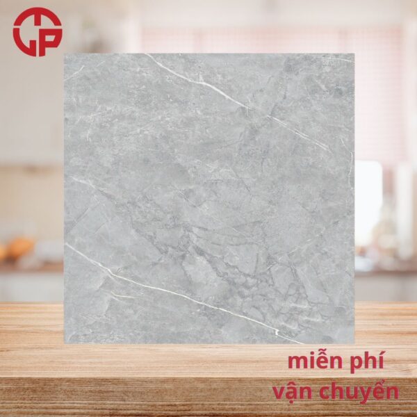 112k-Phong-khach-gach-lat-nen-dep-60x60-Y-My-F6049R