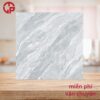 112k-kinh-nghiem-chon-gach-lat-nen-phong-khach-60x60-Y-My-F6050R